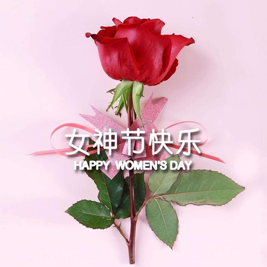 女神節(jié)特輯丨以醫(yī)療力量，筑女性健康